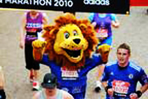 Stamford Mascot